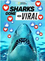 Sharks Gone Viral在线观看和下载