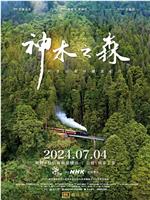 神木之森：阿里山森林铁道纪行在线观看和下载