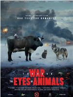 War Through the Eyes of Animals在线观看和下载