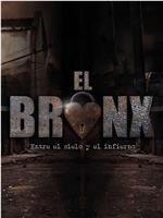 El Bronx: Entre el cielo y el infierno Season 1在线观看和下载