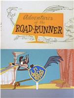 Adventures of the Road-Runner在线观看和下载