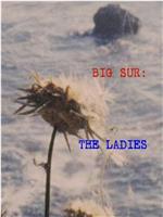 Big Sur: The Ladies在线观看和下载