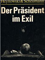 流亡总统在线观看和下载