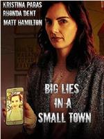 Big Lies in a Small Town在线观看和下载