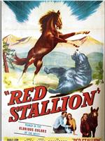 The Red Stallion在线观看和下载