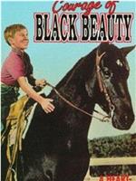 Courage of Black Beauty在线观看和下载