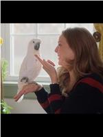 Le Parrot在线观看和下载