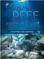 Coral Reef Survivors在线观看和下载