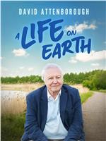 David Attenborough: A Life on Earth在线观看和下载