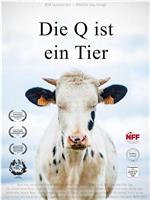 Die Q ist ein Tier在线观看和下载