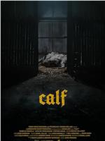 Calf在线观看和下载