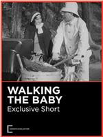 Walking the Baby在线观看和下载