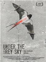 Under the Grey Sky在线观看和下载