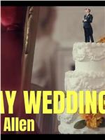 Big Gay Wedding with Tom Allen在线观看和下载