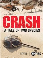 Crash: A Tale of Two Species在线观看和下载