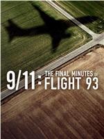 9/11: The Final Minutes of Flight 93在线观看和下载