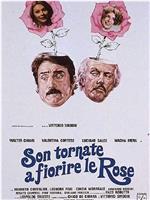 Son tornate a fiorire le rose在线观看和下载