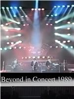 1989Beyond真的见证演唱会在线观看和下载