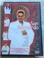 Saint Bernard观看