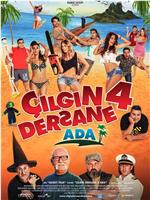 Çilgin Dersane 4: Ada在线观看和下载