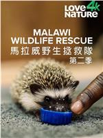 Malawi Wildlife Rescue Season 2在线观看和下载