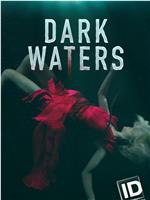 Dark Waters: Murder in the Deep Season 1在线观看和下载