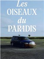 Les oiseaux du paradis在线观看和下载