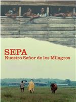 Sepa: Nuestro Señor de los milagros在线观看和下载