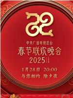 2025年中央广播电视总台春节联欢晚会在线观看和下载