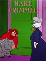 Hare Trimmed在线观看和下载