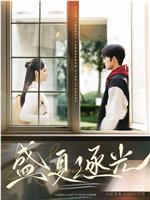 盛夏逐光在线观看和下载