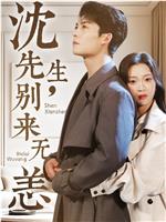 沈先生，别来无恙在线观看和下载