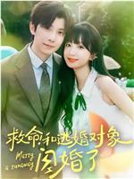 救命！和逃婚对象闪婚了在线观看和下载