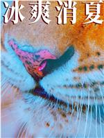 寒冰白血在线观看和下载